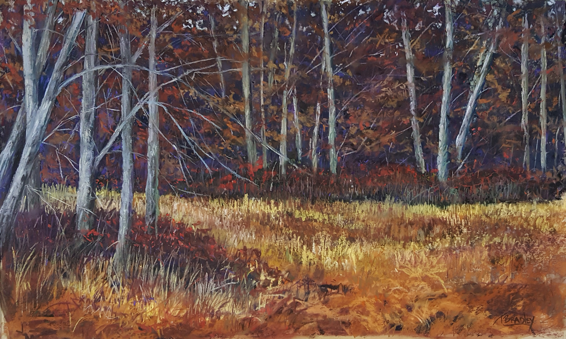 autumn-woodland